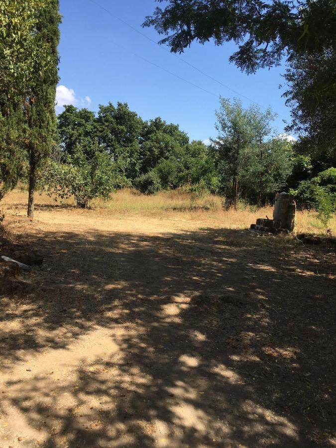 Il Casale Del Popolo Vila Barbarano Romano Exterior foto